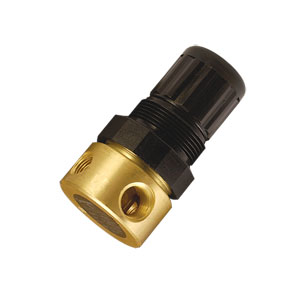 Pressure Regulators for Inert Gases - Order Online | R44 Series Pressure Regulators