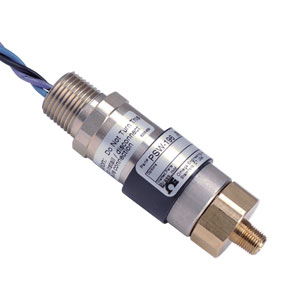 Economical Brass Pressure Switches
PSW-191
PSW-192
PSW-193
PSW-194
PSW-195
PSW-196
PSW-197
PSW-198 | PSW-190