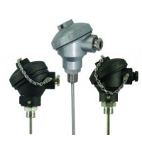 Industrial MI Thermocouples with Protection Head & Process Fitting | NB Series